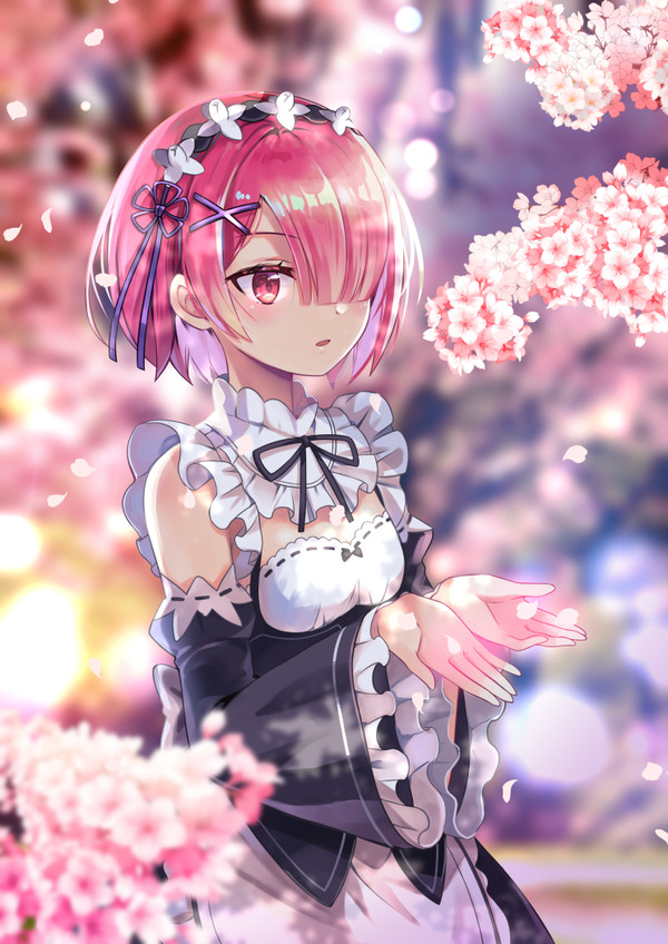 さくらラム