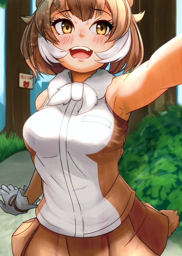 けもふれだよ