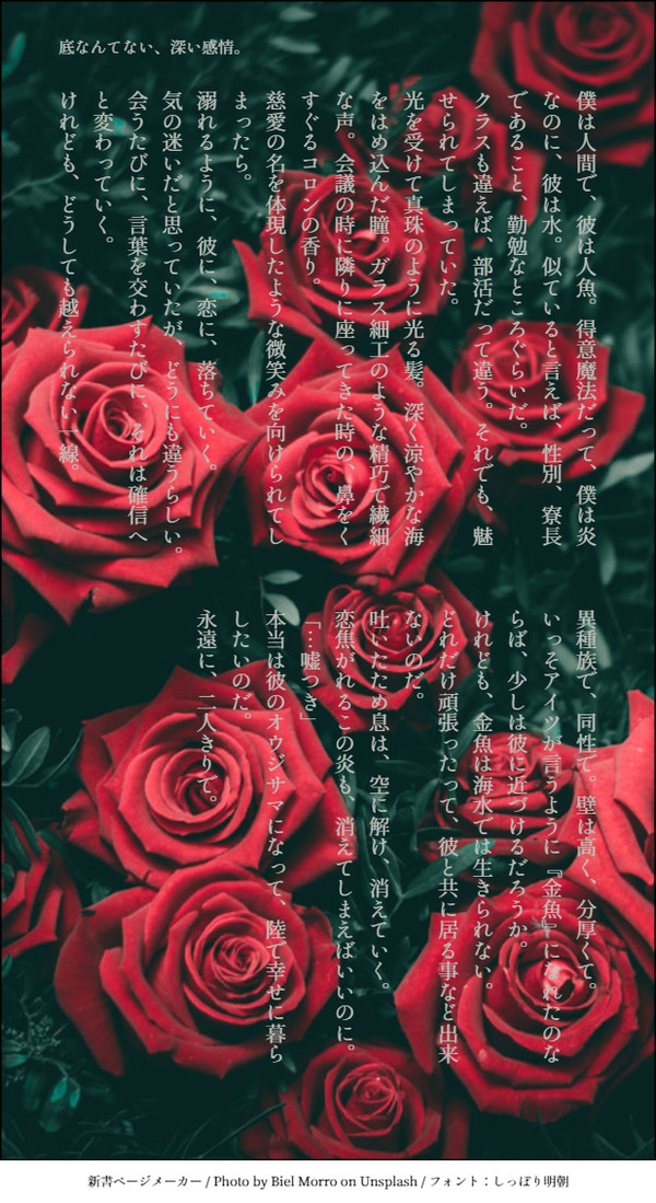 リドアズSS詰め
