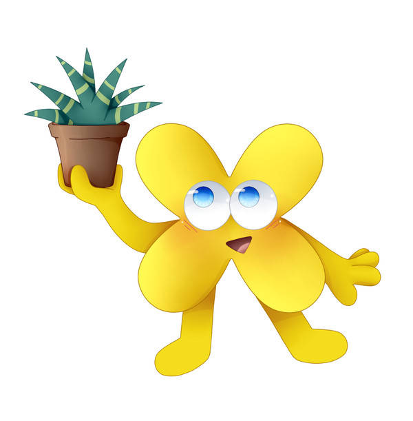 BFB19 X