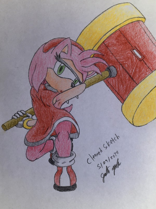 Amy Rose - Colored (traditional)