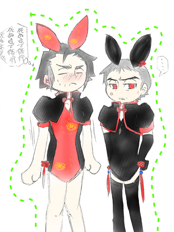 チャイナバニー、とやら