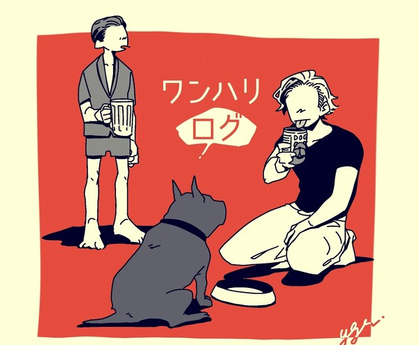 わんはり。