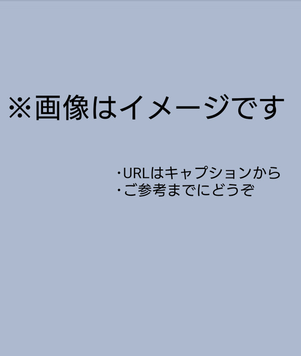 小説内主人公の容姿等
