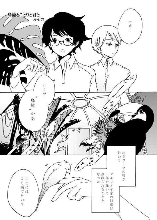 【ハリポタ】鳥籠とことりと君と【ハリドラ】