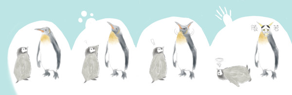 The daily life of the penguin