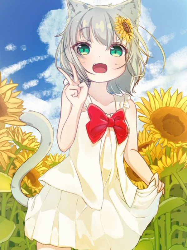 とある夏の昼下がり