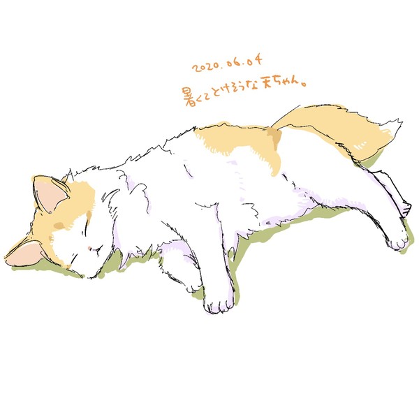 猫スケッチ(6月上旬)