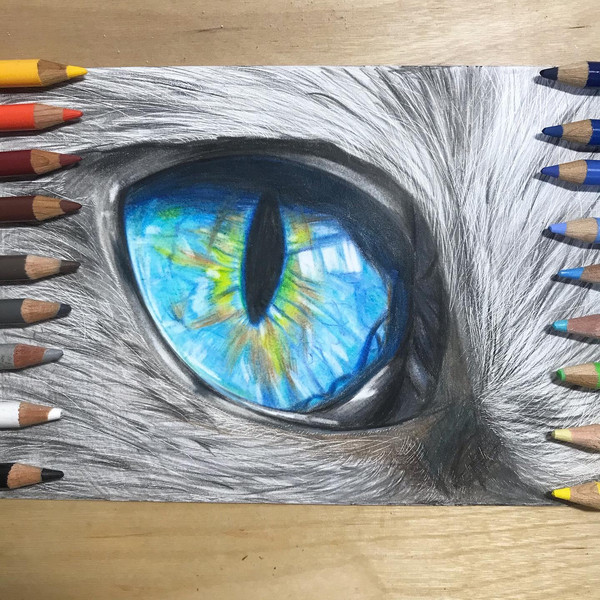 eye