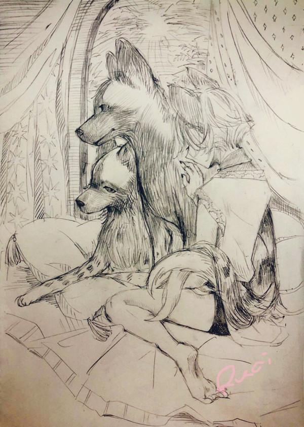 朝の3匹
