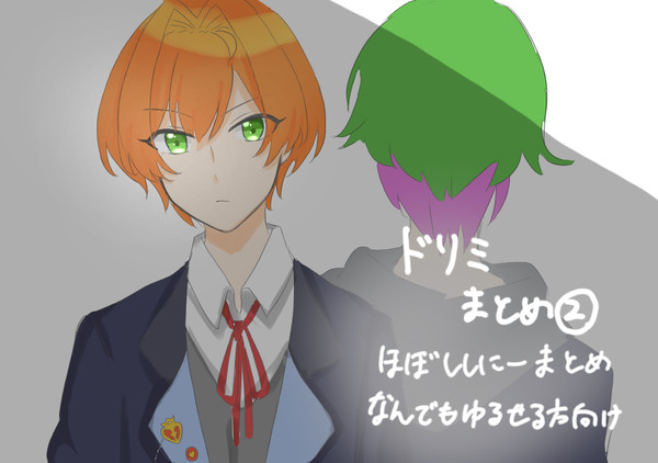 ドリミまとめ2