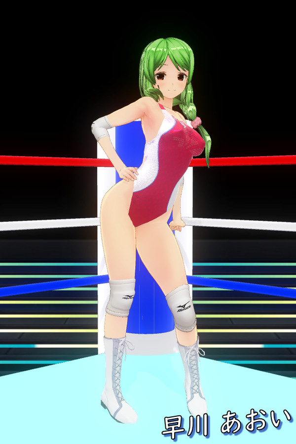 実況!パワフル女子プロレス2013(くらい?)