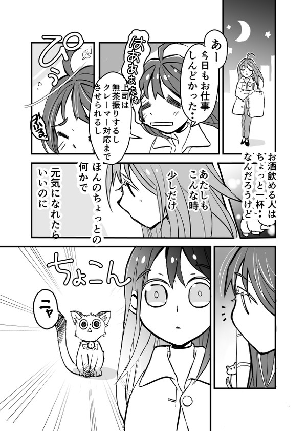 冬季限定！こたつ猫カフェ