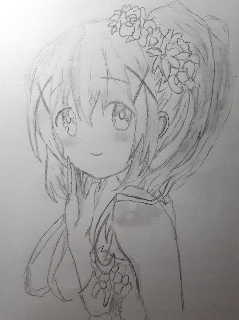 チノちゃん