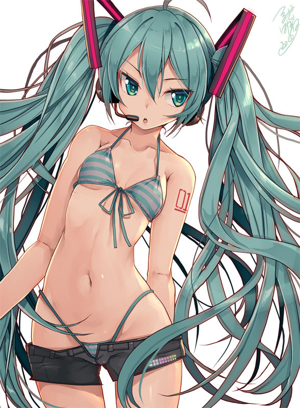 ミクさん