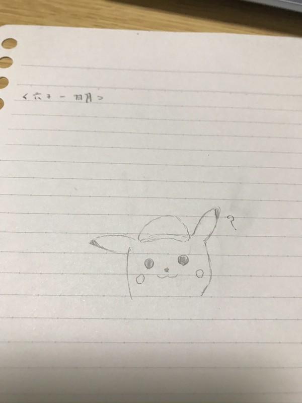 残念ですが断念です