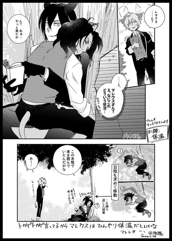 【マレレオ】体温
