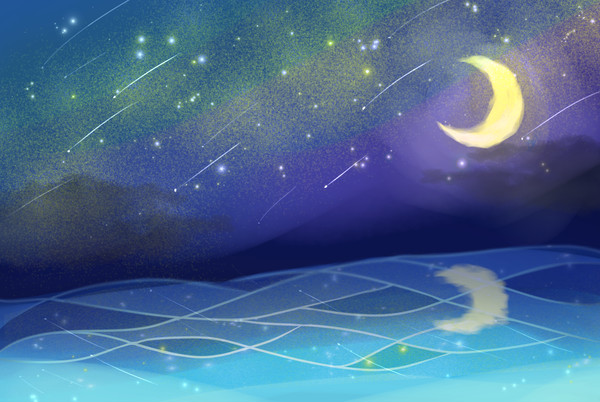 夜空と海