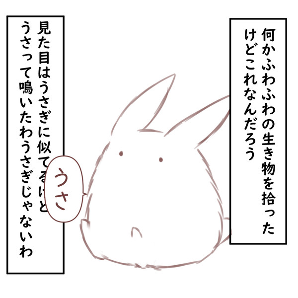 けだまとめ