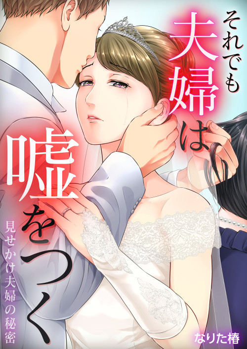 女性コミック「それでも夫婦は嘘をつく」