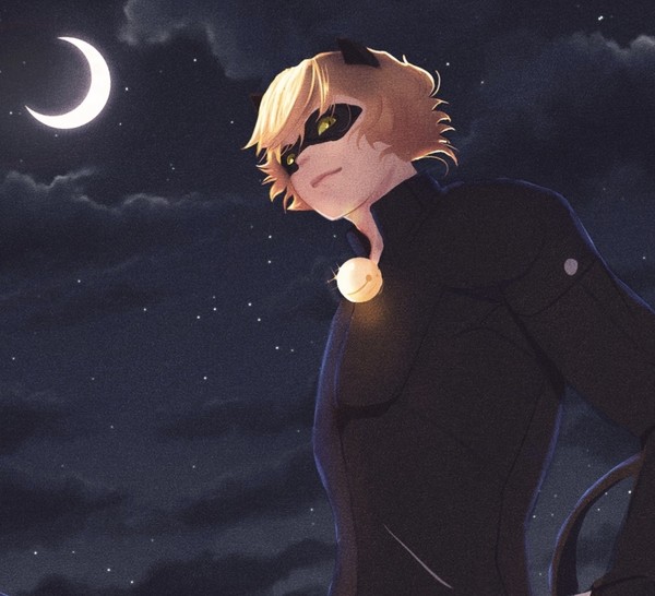 CHAT NOIR