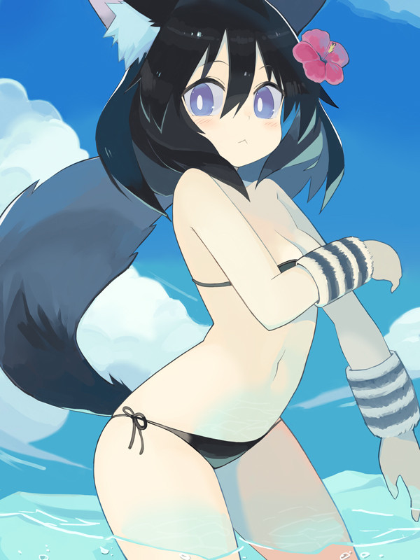 海と黒きつね