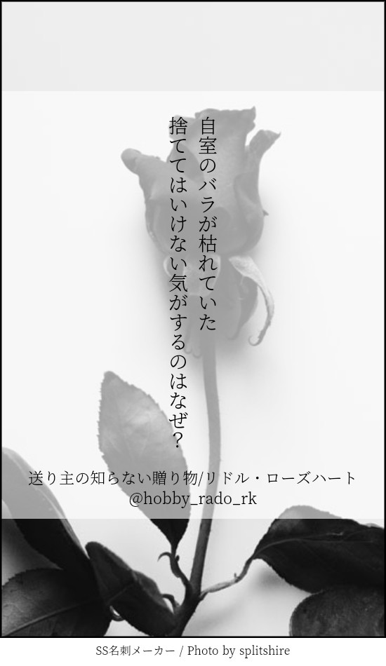 ２行シリーズログ