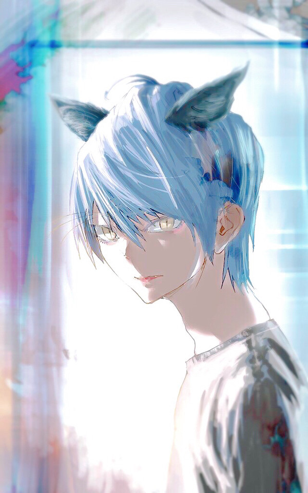 猫くん