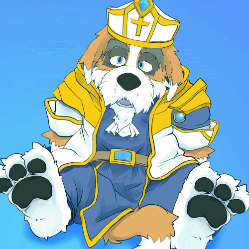 わんこナイト