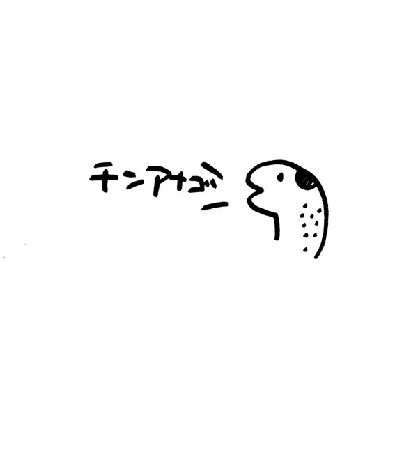 チンアナゴ