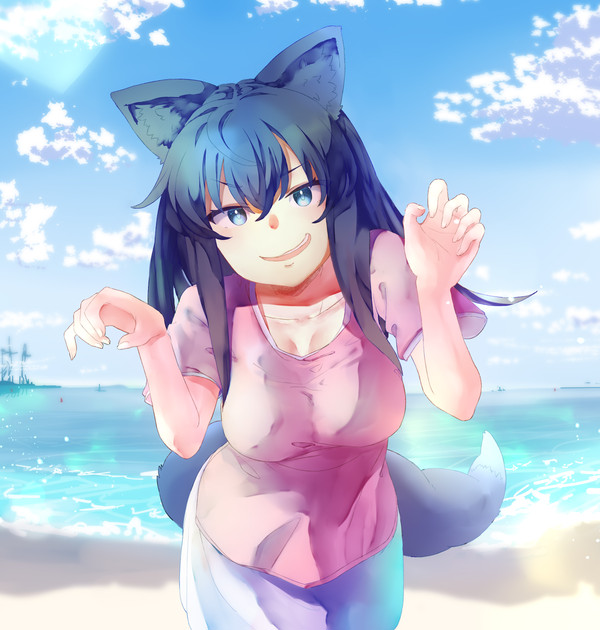 海