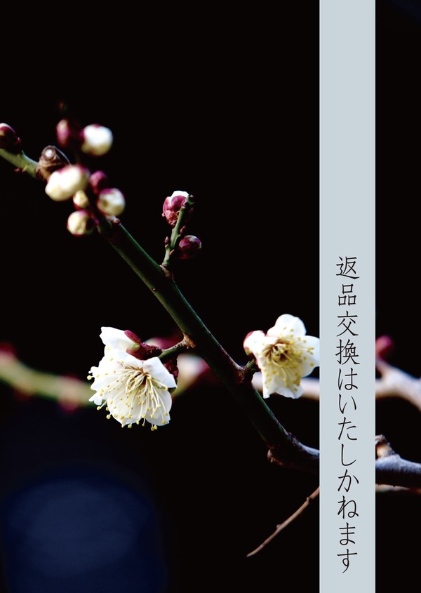 返品交換はいたしかねます【表紙】