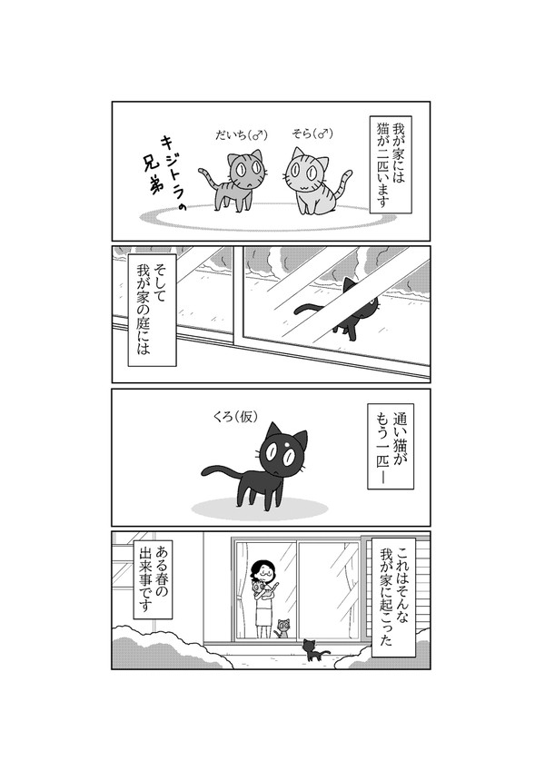 くろ（仮）