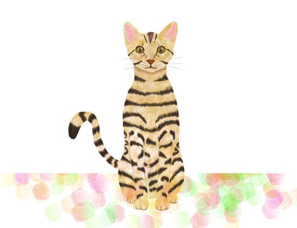「猫」〜ベンガル〜