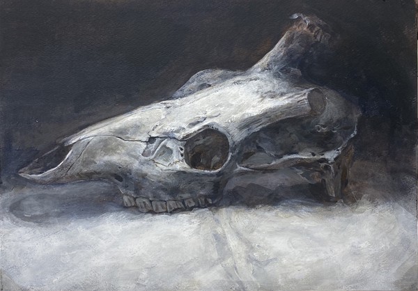 no title