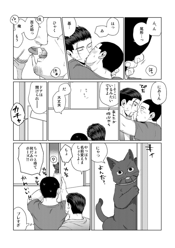 黄金暗号8無配