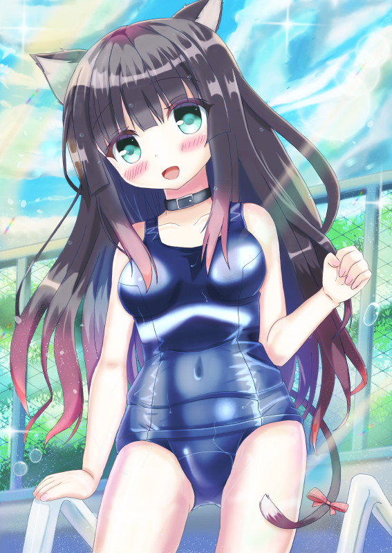 すくみずたゆん猫耳ちゃん!!