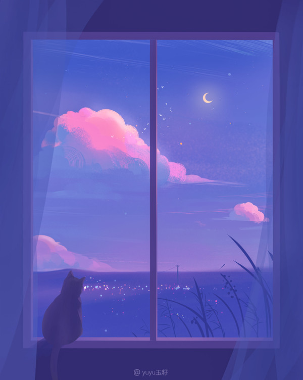看风景的猫咪