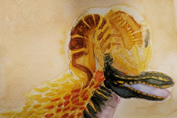 Kulve Taroth