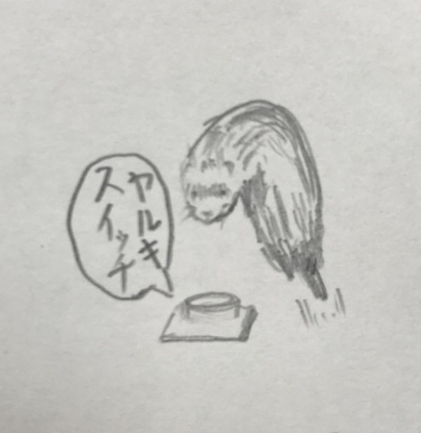 ヤルキスイッチ