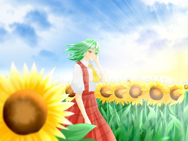 🌻