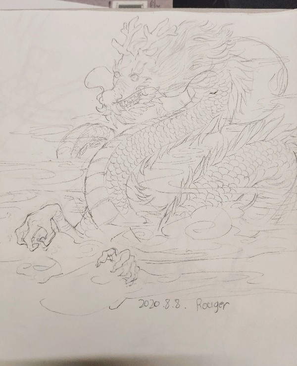龙