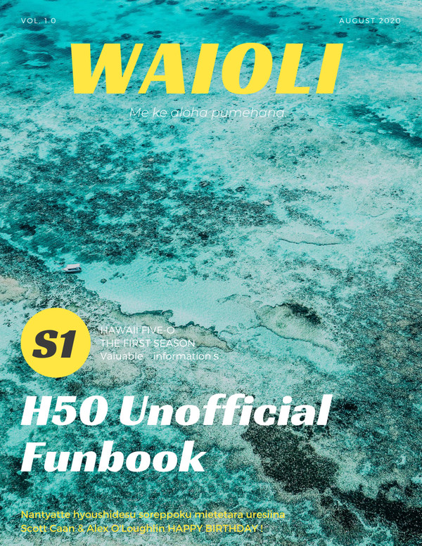 エア雑誌Waioli ハワイファイブオー　シーズン1まとめ