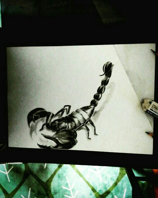 鉛筆画　蠍