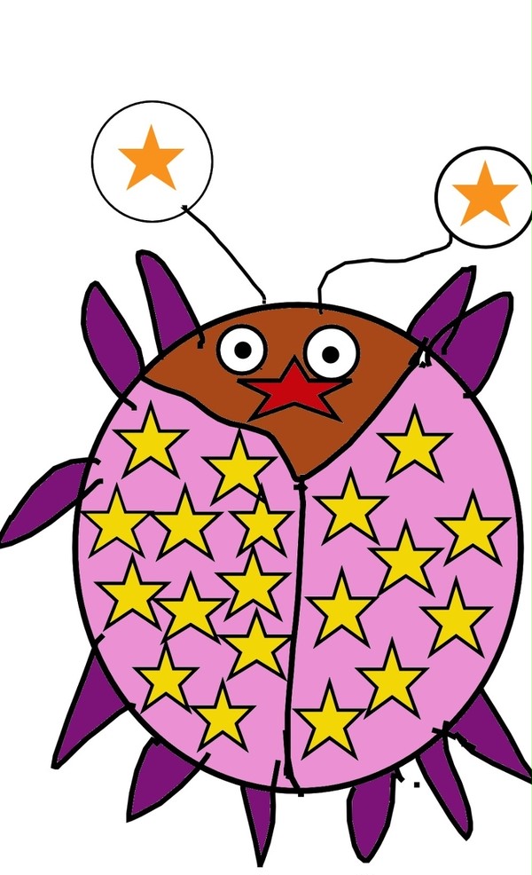 星天道虫