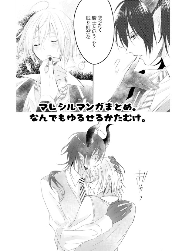 ツイ腐テ_マレシル③