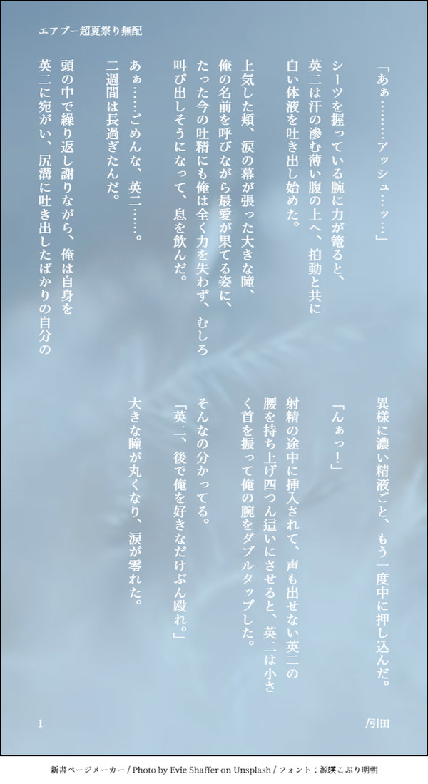 無配SS