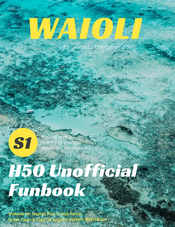 ハワイファイブオーエア雑誌Waioliシーズン1まとめ