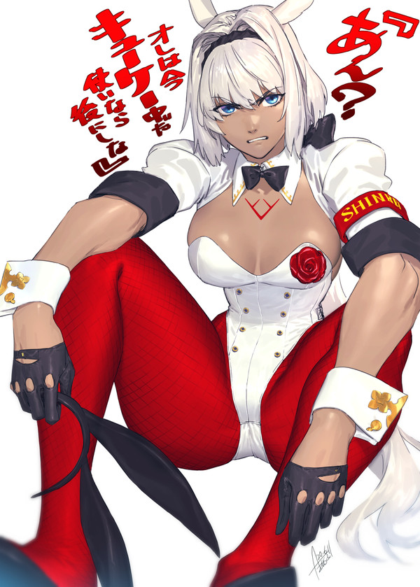 【FGO】バニーカイニス