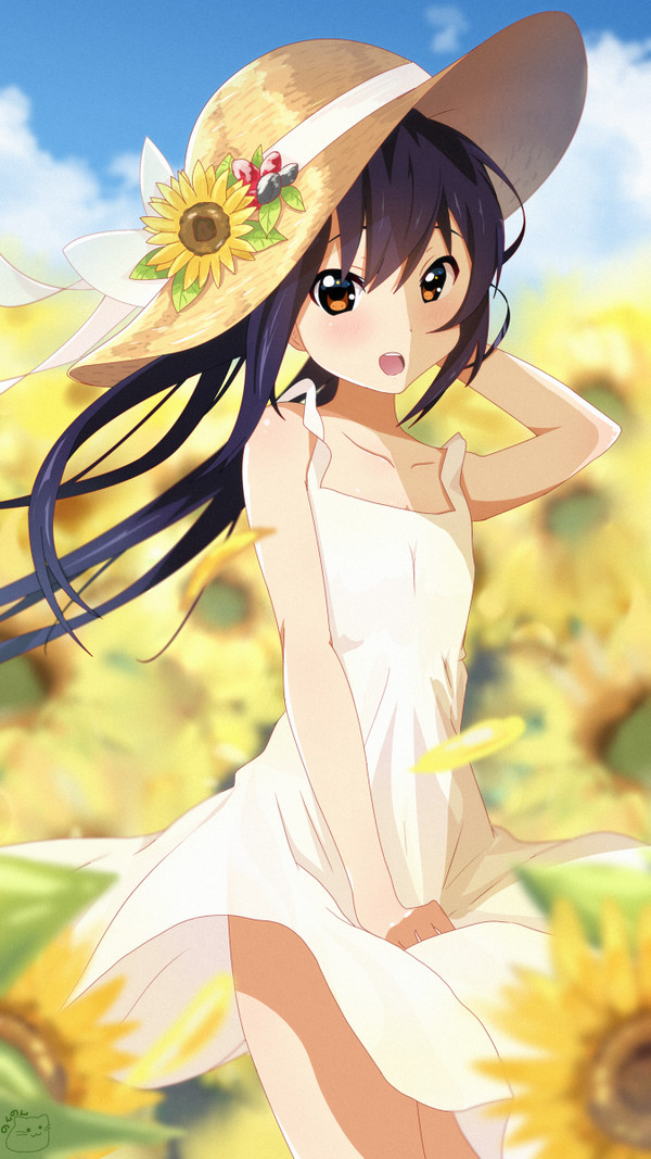 真夏の日差と
